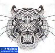 <b>老虎纹身手稿图案大全 - 五里店纹身</b>