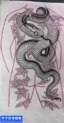 <b>蛇纹身手稿图案大全 动物纹身</b>