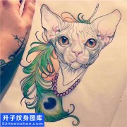 <b>猫纹身手稿图案 动物纹身</b>