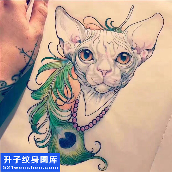 猫纹身手稿图案
