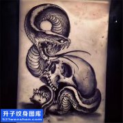 <b>骷髅蛇纹身手稿图案大全</b>