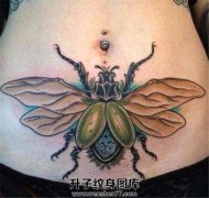 <b>腹部昆虫纹身图案大全</b>