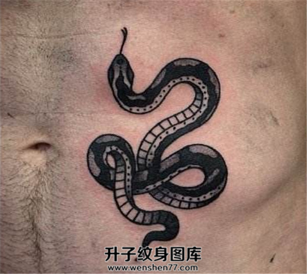 侧腰蛇纹身图案