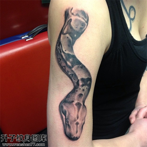 手臂蛇纹身图案