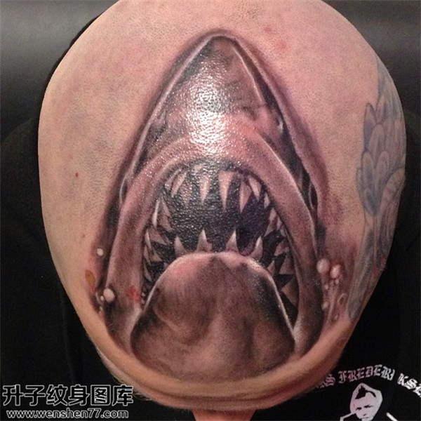 头部鲨鱼纹身图案