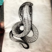 <b>蛇纹身手稿图案 蛇纹身图片</b>