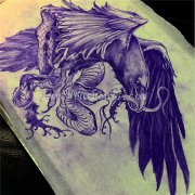 <b>鹰纹身手稿图案</b>