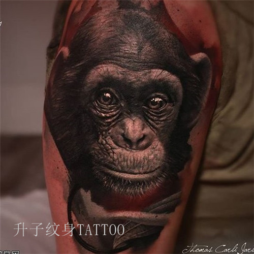 手笔猴子纹身 重庆写实纹身价格