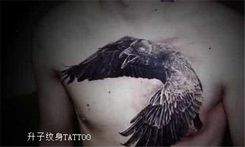 胸口乌鸦纹身 3D纹身