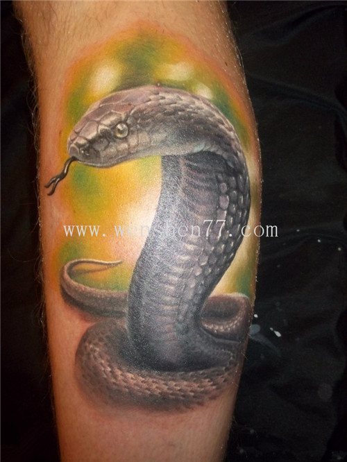 十二生肖纹身 蛇纹身 蛇纹身图案 蛇纹身寓意