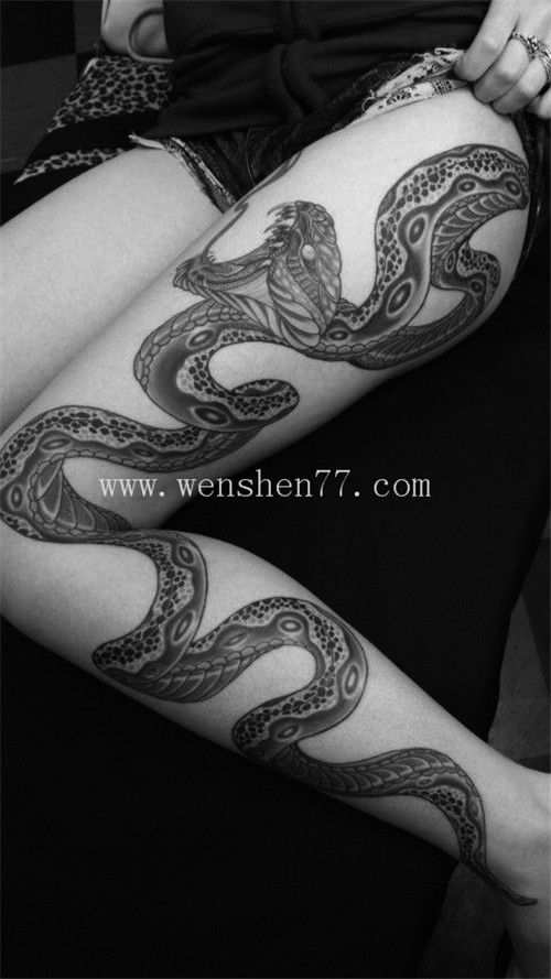 十二生肖纹身 蛇纹身 蛇纹身图案 蛇纹身寓意