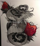 <b>重庆蛇纹身 蛇纹身手稿 蛇纹身图案 蛇纹身寓意</b>