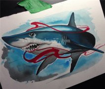 <b>重庆鲨鱼纹身 鲨鱼纹身手稿 鲨鱼纹身图片 鲨鱼纹身寓意</b>