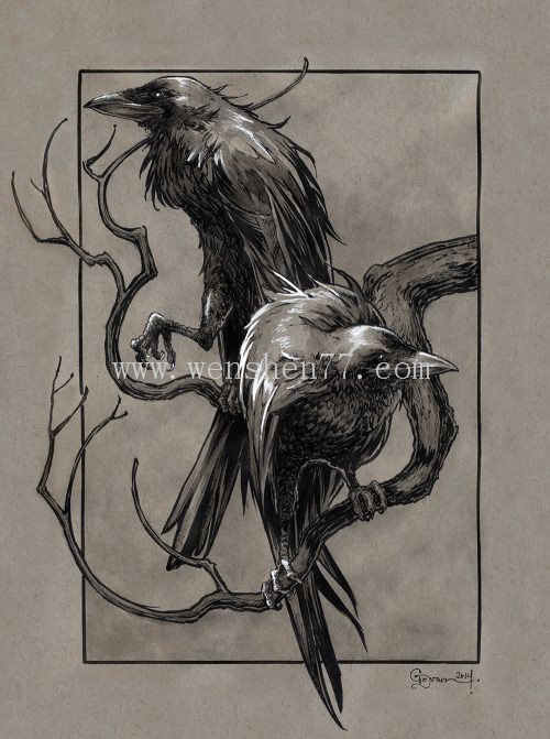 乌鸦纹身手稿图案