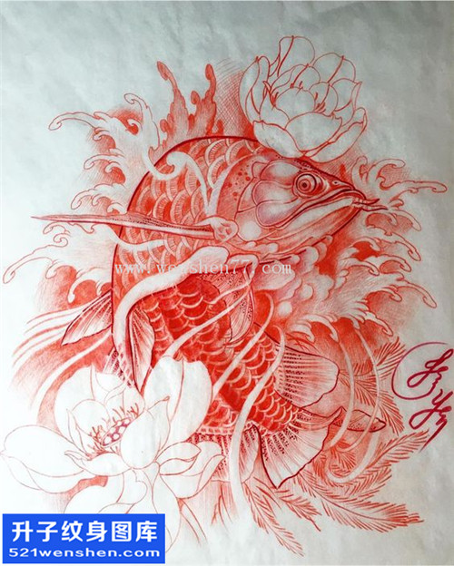 金龙鱼纹身手稿