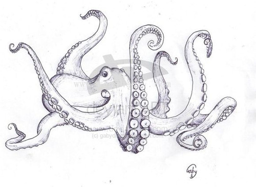 章鱼纹身手稿