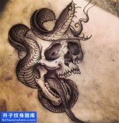 <b>蛇骷髅纹身 蛇骷髅纹身手稿图案</b>