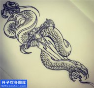 <b>蛇纹身手稿图片大全</b>