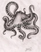 <b>章鱼纹身手稿图案 章鱼纹身 章鱼图片</b>