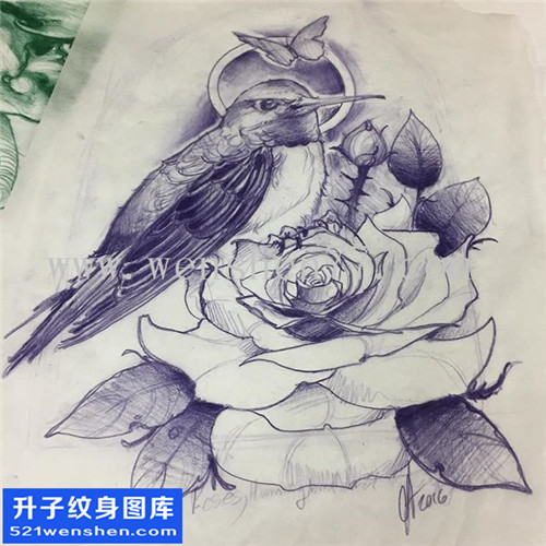 鸟玫瑰花纹身手稿