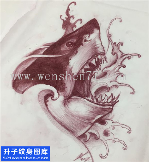 鲨鱼纹身手稿