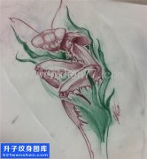 <b>螳螂纹身手稿图案大全</b>