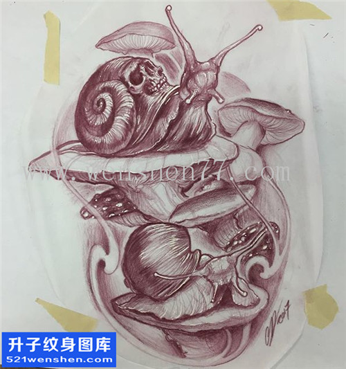 蜗牛纹身手稿图案