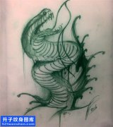 <b>蛇纹身 蛇纹身图案 蛇纹身手稿 蛇纹身价格</b>