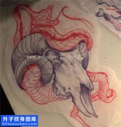 <b>蛇骷髅羊头纹身手稿图案</b>