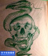<b>骷髅蛇纹身手稿图案大全 观音桥纹身</b>