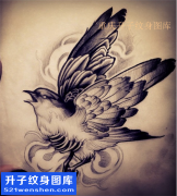 <b>欧美黑白动物鸟纹身手稿图案大全</b>