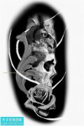 <b>骷髅猫头鹰玫瑰花纹身图案手稿</b>