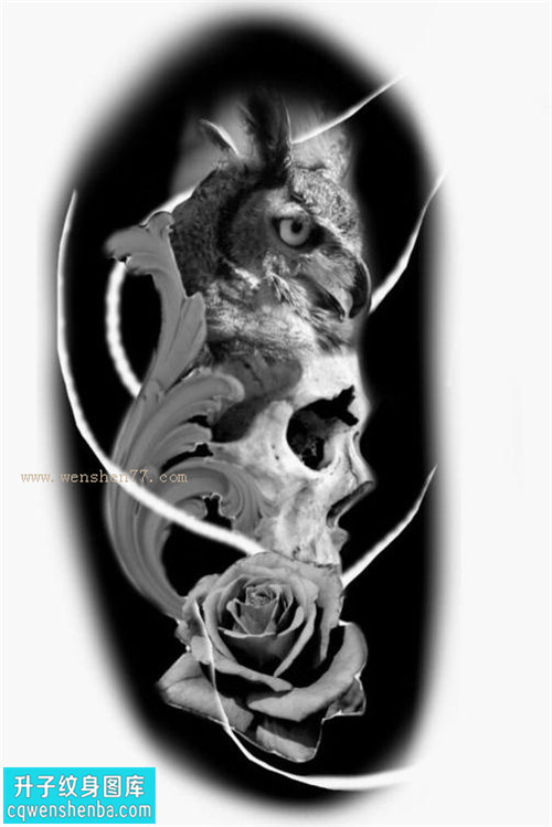 骷髅猫头鹰玫瑰花纹身图案手稿