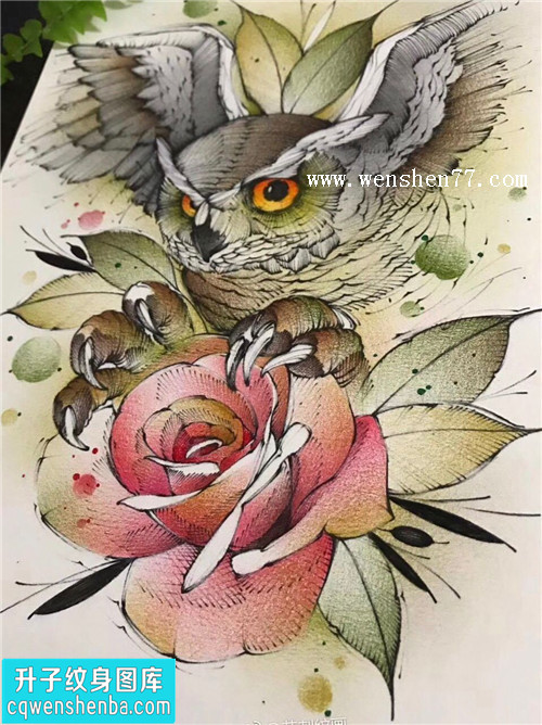 猫头鹰玫瑰花纹身手稿