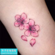 <b>一期小清新彩色小植物桃花纹身图片</b>