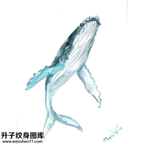 鲸鱼纹身手稿