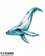 <b>鲸鱼纹身手稿图案大全</b>