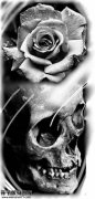 <b>骷髅玫瑰花纹身手稿图片大全</b>