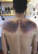 <b>后背翅膀纹身图案</b>