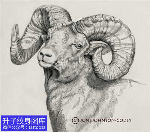 羊头素描黑灰纹身手稿图案