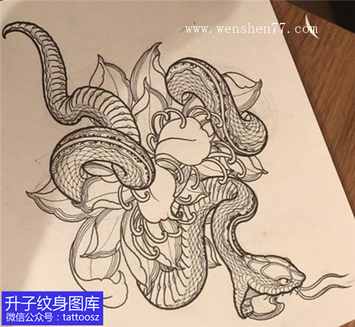 美白蛇与牡丹花纹身手稿图案