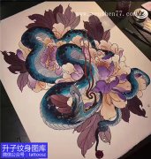 <b>彩色蛇与牡丹纹身手稿图案</b>