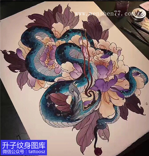 彩色蛇与牡丹纹身手稿图案