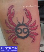 <b>手臂巨蟹座星座纹身图案</b>