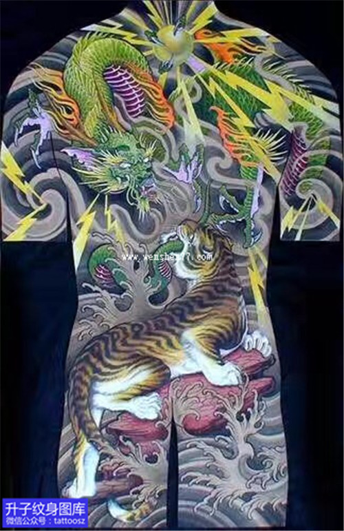 满背彩色龙与老虎纹身手稿图案