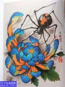 彩色菊花蜘蛛纹身手稿图案