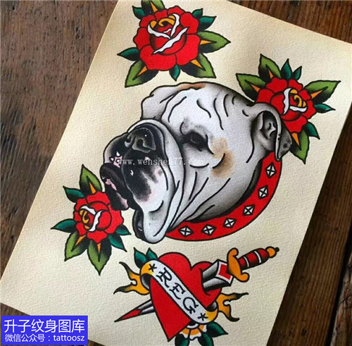 欧美彩色狗与玫瑰花纹身手稿图片
