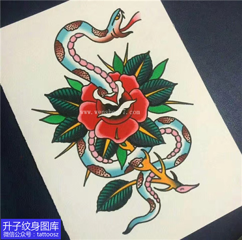 彩色old school蛇与玫瑰花纹身手稿图案