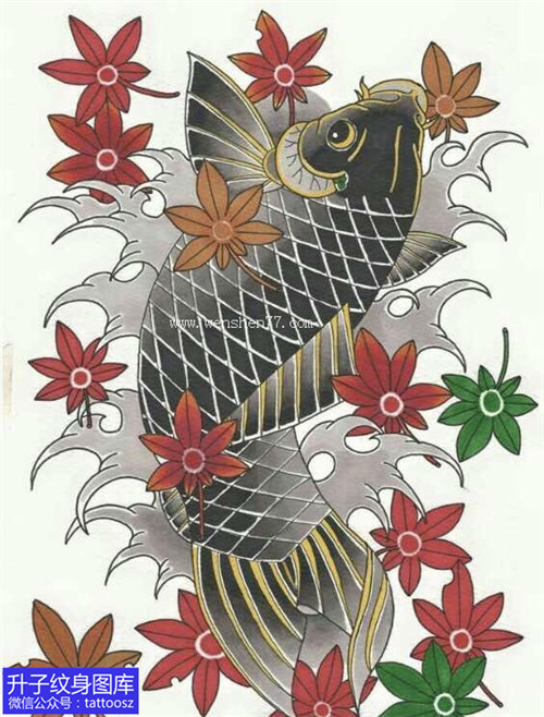 老传统彩色鲤鱼枫叶纹身手稿图案