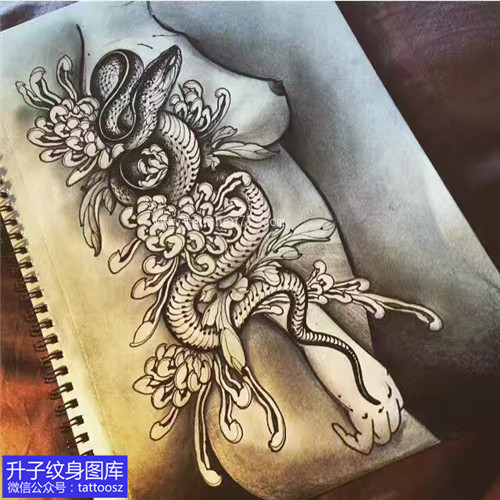 黑灰菊花与蛇纹身手稿图案